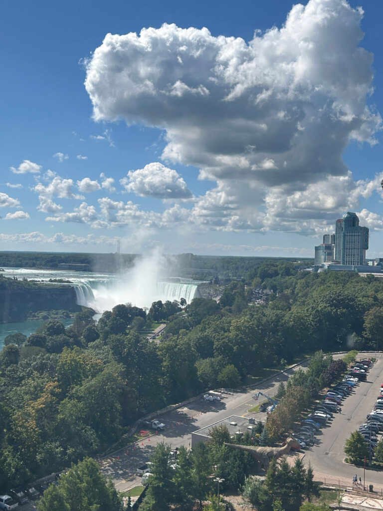 The perfect view of the Niagara Falls from the Ferris wheel